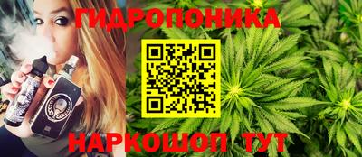 дмт Кандалакша